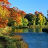 Goldener Herbst – Saisonale Farbwahl