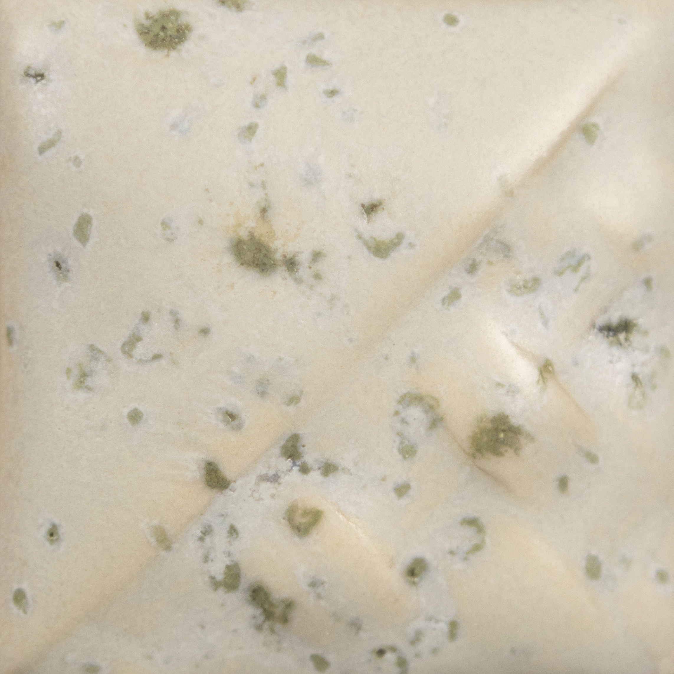 SW118 SEA SALT