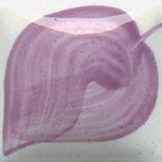 EZ007S ROYAL PURPLE