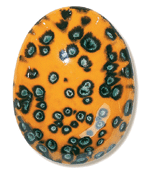 FE5252 Paradiesvogel