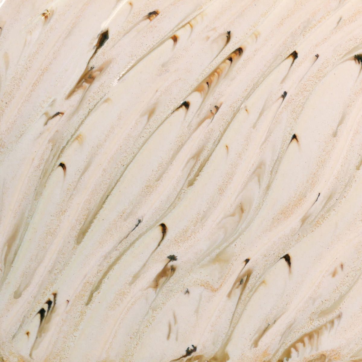 PCF-74 RIVER BIRCH