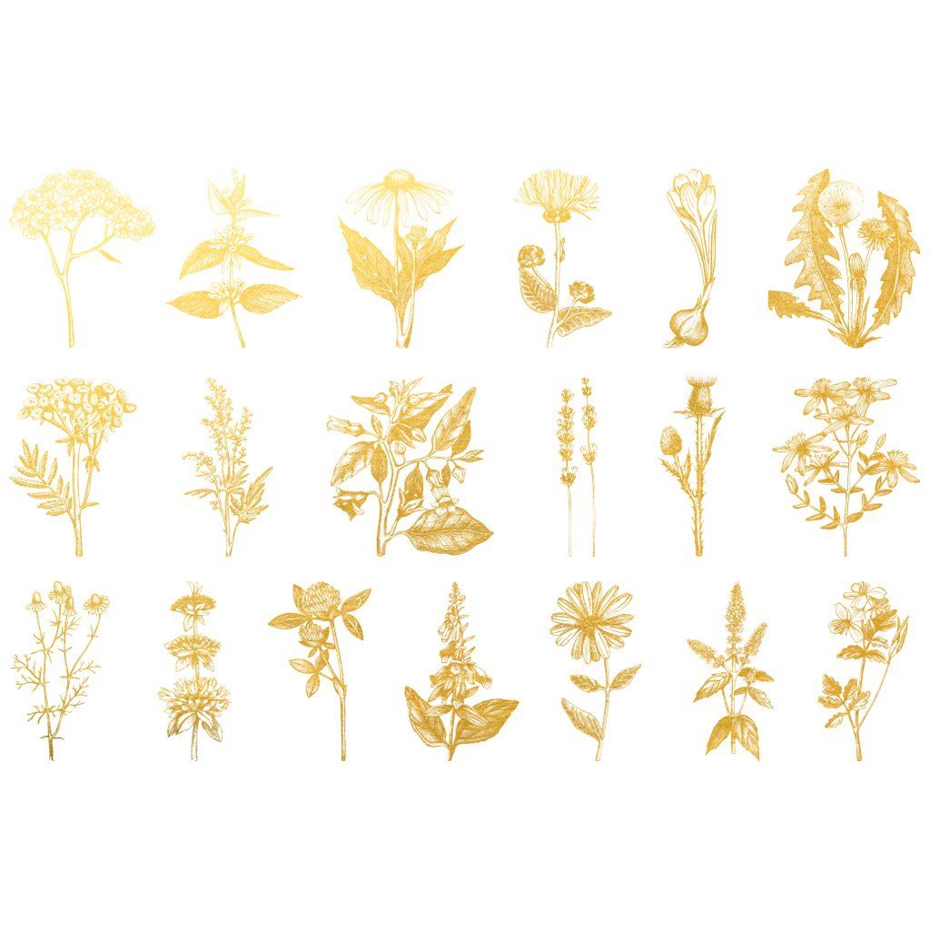 Blume 2 Gold