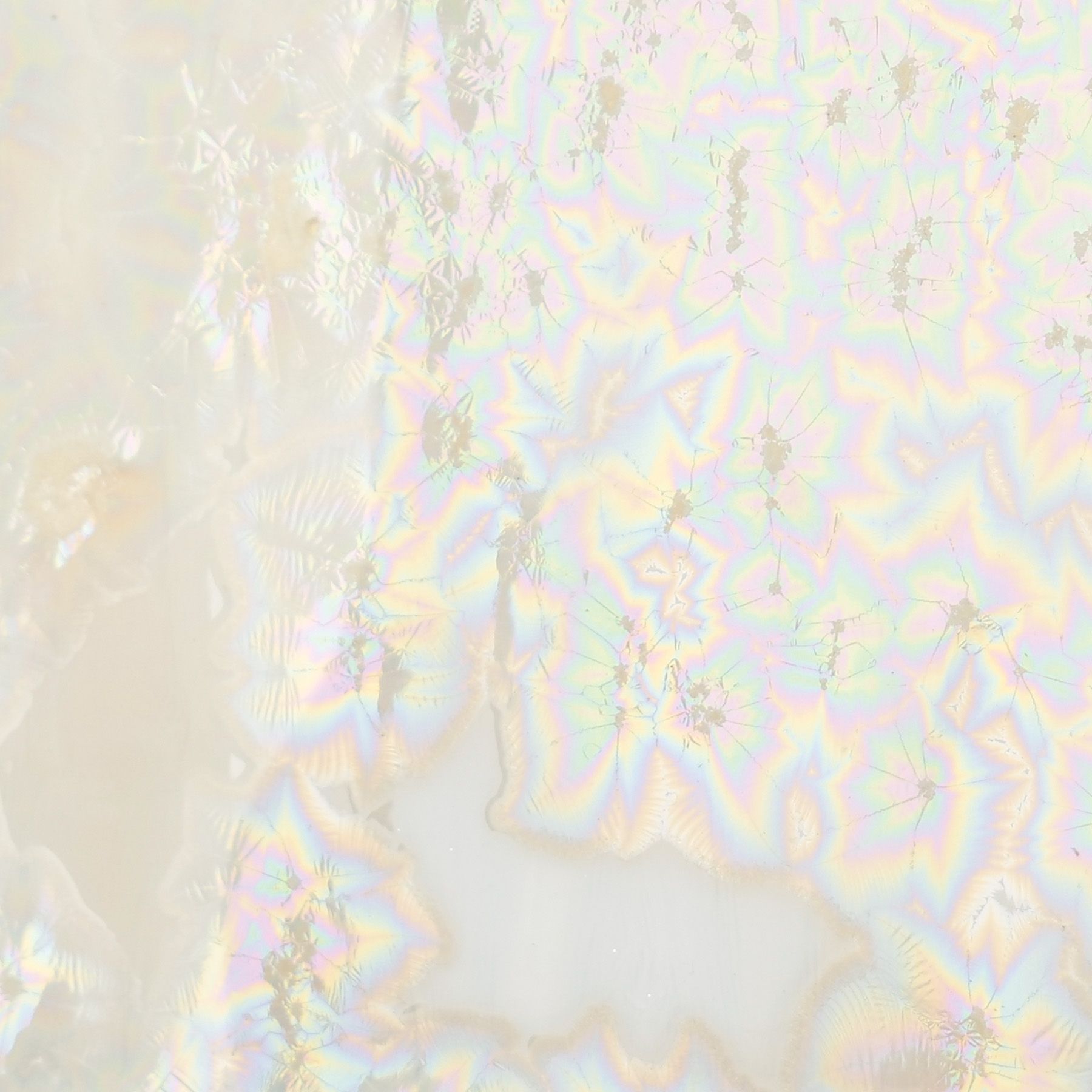 CO-6 SUPERNOVA
