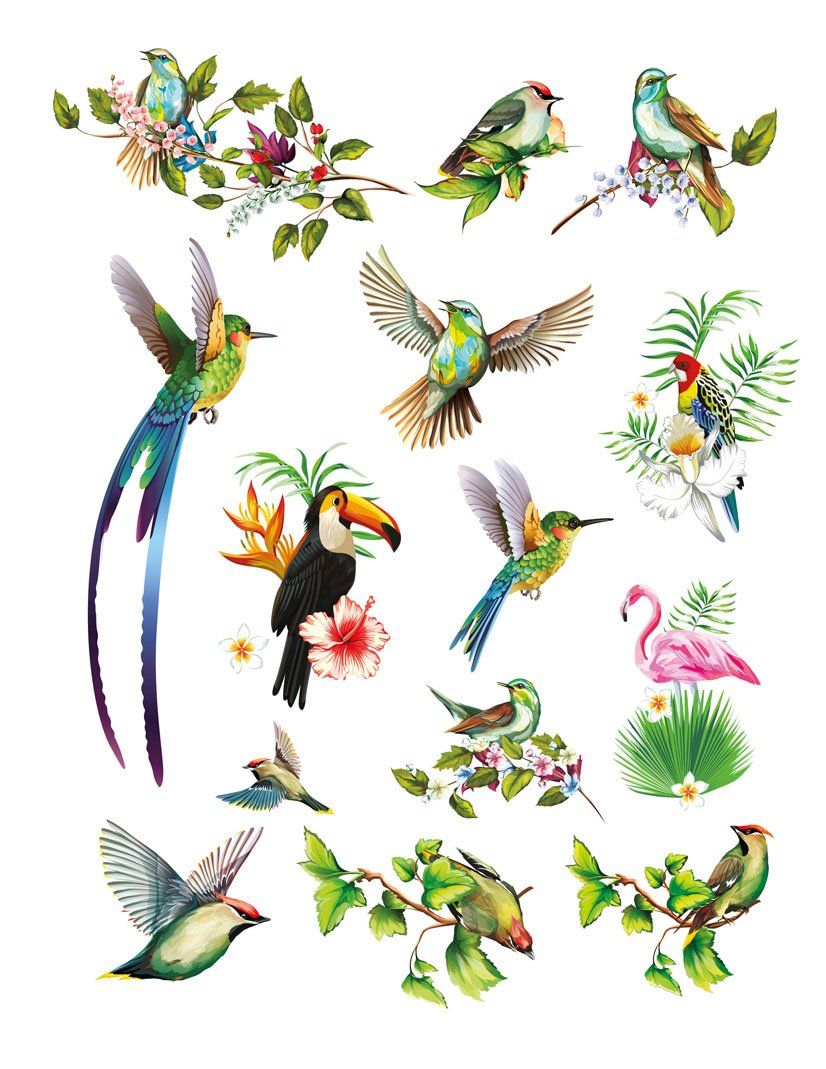 Vögel