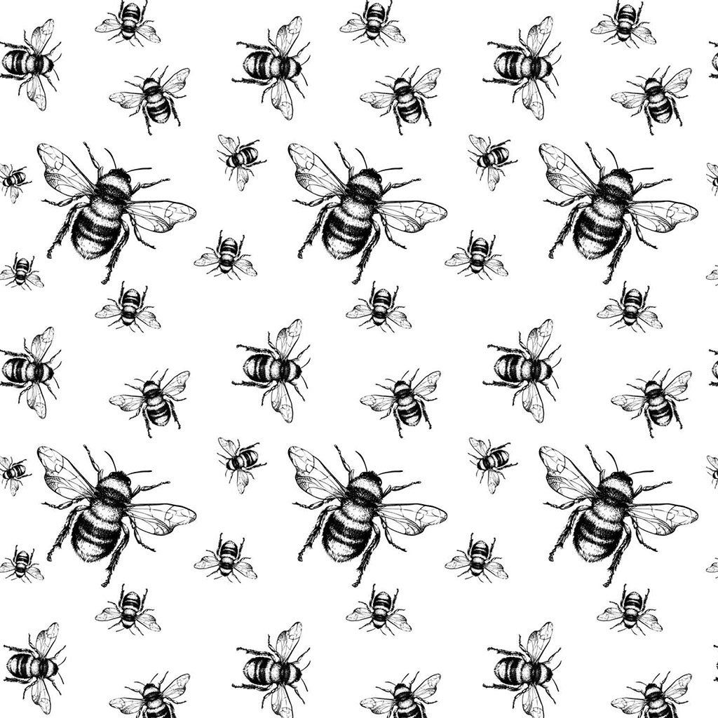 Hummel schwarz