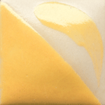 CN022S B SAFFRON