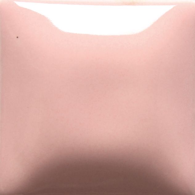 FN005 PINK