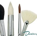 Discovery Brushes - ECONOMY