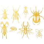 Overglaze decals 22 ct. Gold