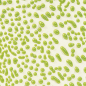 Preview: CR-41 Lime