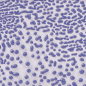 Preview: CR-54 Purple