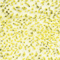 Preview: CR-61 Speckled Yellow