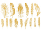 Preview: Gold Feder 01 Dekorbild