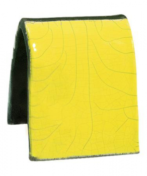 RA010