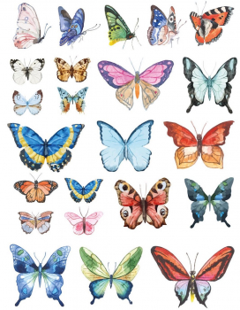 Butterfly Decal