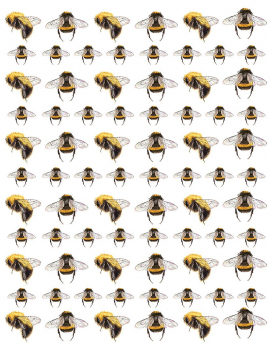 Bee Decal