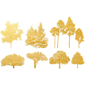 Gold Trees Decal