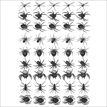 Insects - Spider Decal