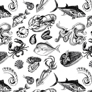 Ocean Shellfish Decal