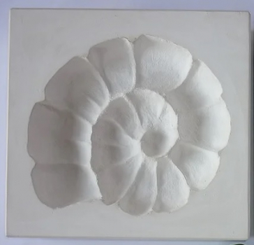 SOAMLI - Ammonite left Sprig Mold