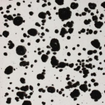 CG977-4 Ink Spots
