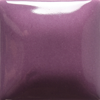 FN036-4 Grape