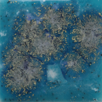 S2711-4 Tahiti Grape