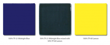 TP-21 Midnight Blue 473 ml