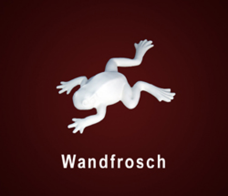 DM2235 Wandfrosch- 23 cm
