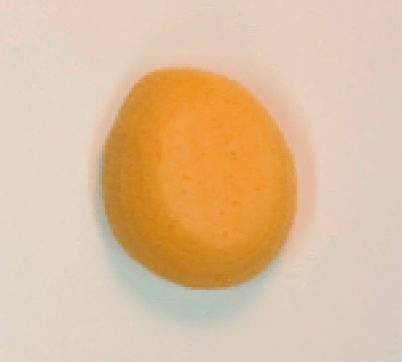 Synthetic Sponge KW066
