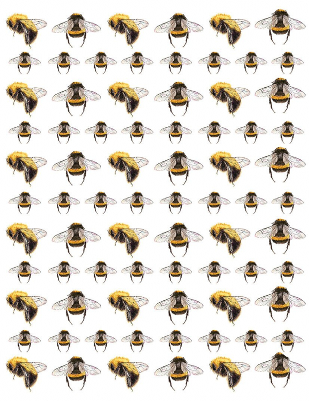 Bee Decal