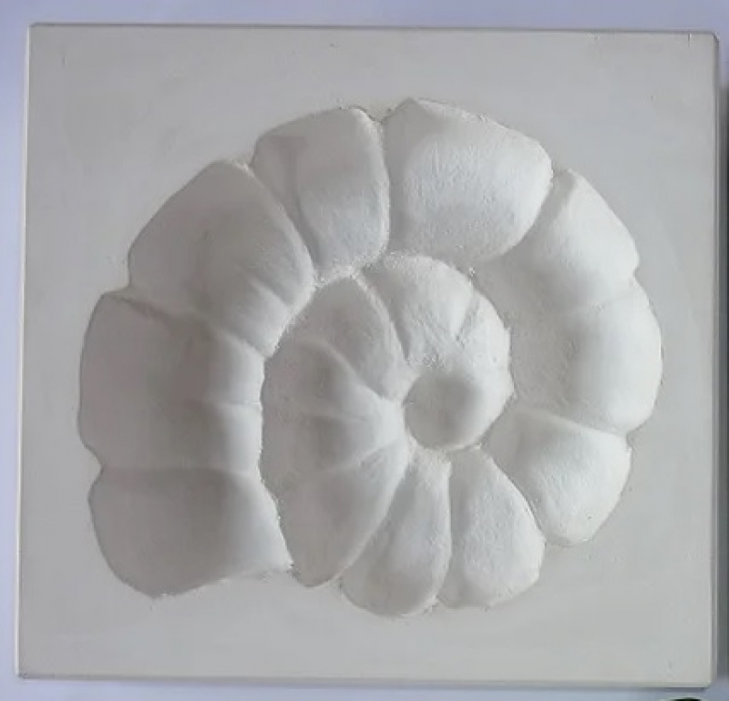 SOAMLI - Ammonite left Sprig Mold